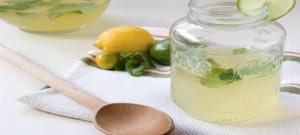 Cách diệt mối bằng chánh