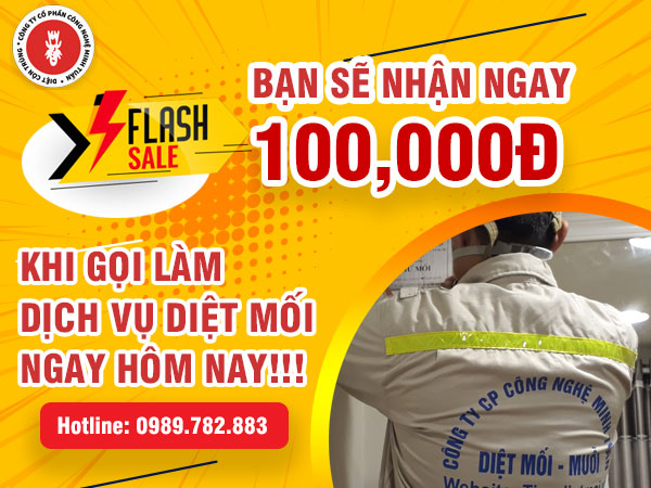 dich-vu-diet-moi-minh-tuan